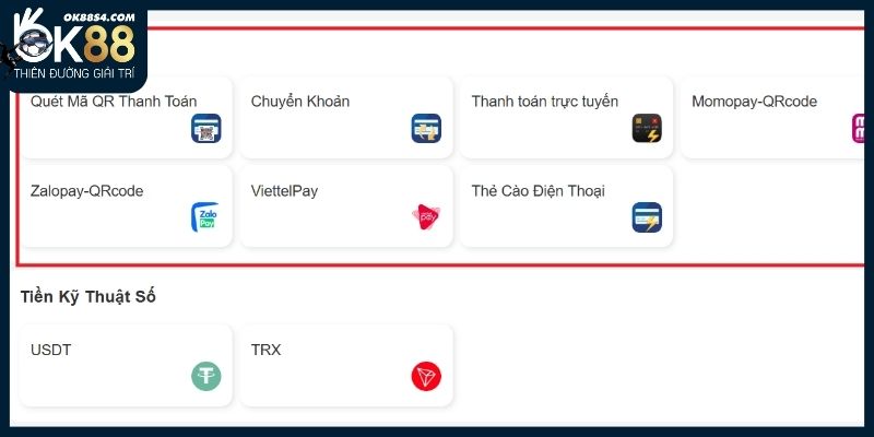 Nạp tiền OK88 thông qua Đồng Việt Nam đơn giản