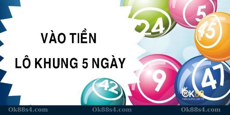 Cách nuôi lô song thủ khung 5 ngày chuẩn chỉnh